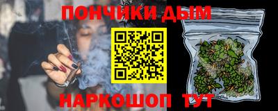 индика Кандалакша