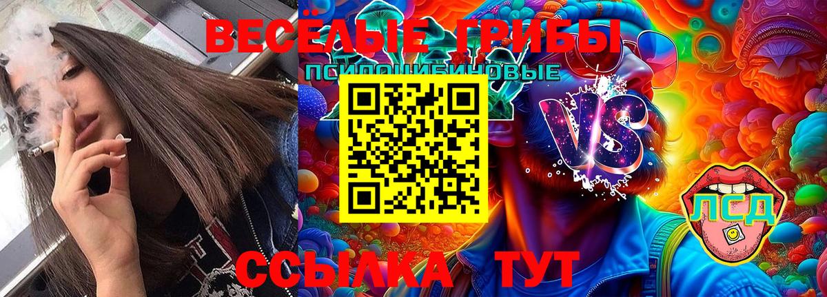 Галлюциногенные грибы Psilocybine cubensis  Вход с VPN  Курчалой 