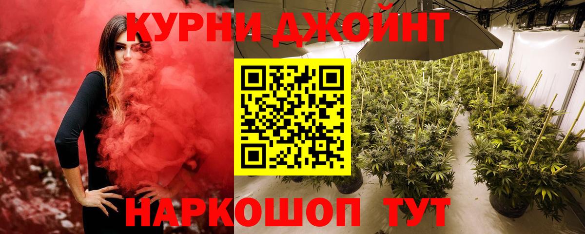 Конопля OG Kush  Вход с VPN  Курчалой  Канабис White Widow  Марихуана AK-47 